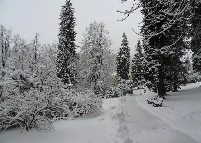 Hotel Libverda - Panorama Lázně Libverda